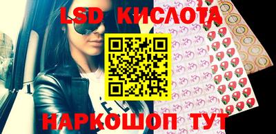 прущие грибы Абинск